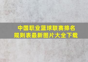 中国职业篮球联赛排名规则表最新图片大全下载