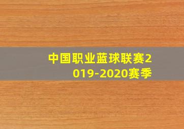 中国职业蓝球联赛2019-2020赛季