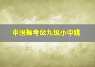 中国舞考级九级小中跳