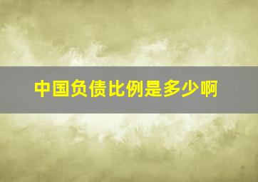 中国负债比例是多少啊