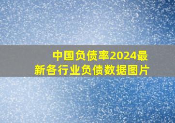 中国负债率2024最新各行业负债数据图片