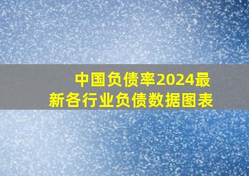 中国负债率2024最新各行业负债数据图表