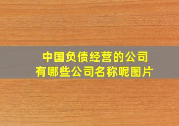 中国负债经营的公司有哪些公司名称呢图片