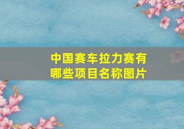 中国赛车拉力赛有哪些项目名称图片