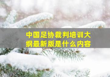 中国足协裁判培训大纲最新版是什么内容