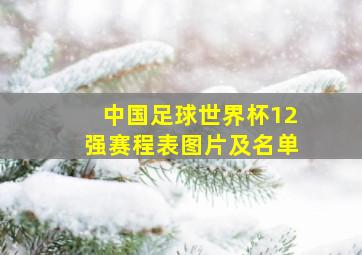 中国足球世界杯12强赛程表图片及名单