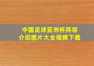 中国足球亚洲杯阵容介绍图片大全视频下载