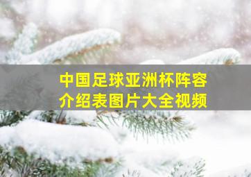 中国足球亚洲杯阵容介绍表图片大全视频