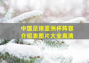 中国足球亚洲杯阵容介绍表图片大全高清