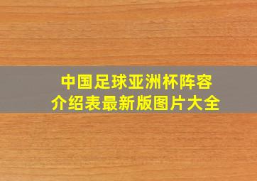 中国足球亚洲杯阵容介绍表最新版图片大全