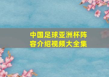 中国足球亚洲杯阵容介绍视频大全集