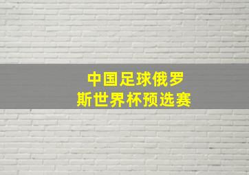 中国足球俄罗斯世界杯预选赛