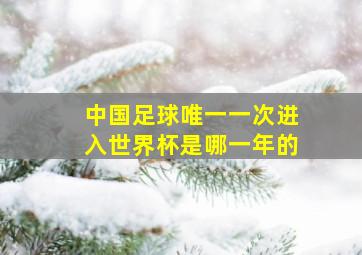 中国足球唯一一次进入世界杯是哪一年的