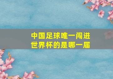 中国足球唯一闯进世界杯的是哪一届