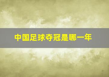 中国足球夺冠是哪一年