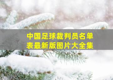 中国足球裁判员名单表最新版图片大全集