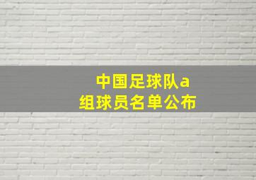 中国足球队a组球员名单公布