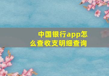 中国银行app怎么查收支明细查询