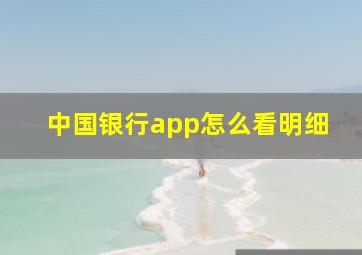 中国银行app怎么看明细