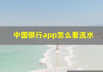 中国银行app怎么看流水