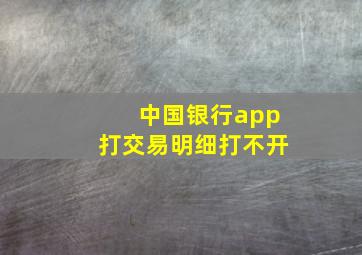 中国银行app打交易明细打不开