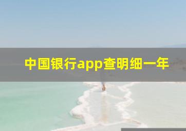 中国银行app查明细一年