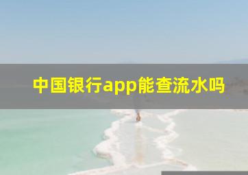 中国银行app能查流水吗