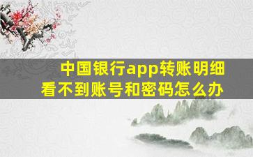 中国银行app转账明细看不到账号和密码怎么办