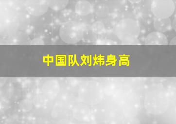 中国队刘炜身高