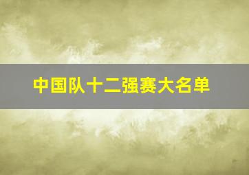 中国队十二强赛大名单