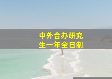 中外合办研究生一年全日制