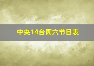 中央14台周六节目表