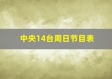 中央14台周日节目表