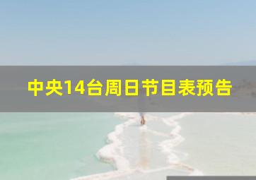 中央14台周日节目表预告