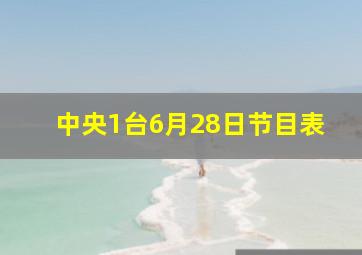 中央1台6月28日节目表