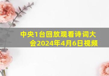 中央1台回放观看诗词大会2024年4月6日视频