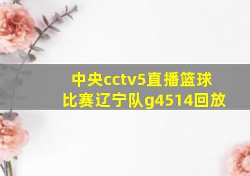 中央cctv5直播篮球比赛辽宁队g4514回放