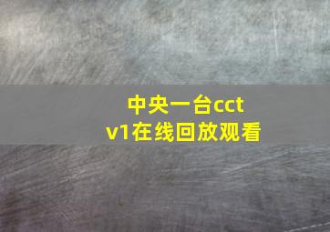 中央一台cctv1在线回放观看