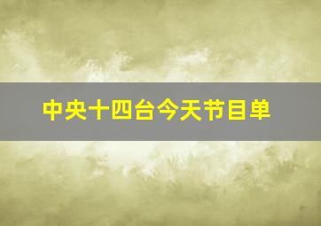 中央十四台今天节目单