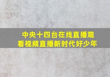 中央十四台在线直播观看视频直播新时代好少年