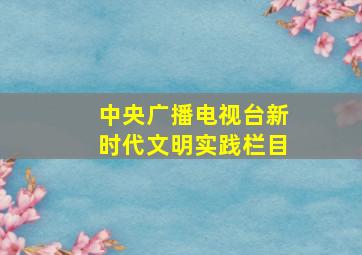 中央广播电视台新时代文明实践栏目