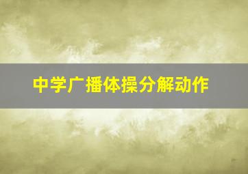 中学广播体操分解动作