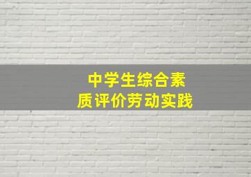 中学生综合素质评价劳动实践