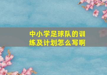 中小学足球队的训练及计划怎么写啊