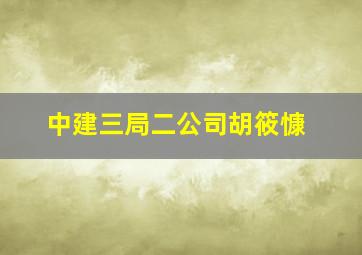 中建三局二公司胡筱慷