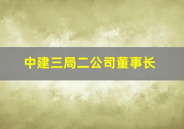 中建三局二公司董事长