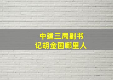 中建三局副书记胡金国哪里人