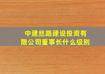 中建丝路建设投资有限公司董事长什么级别