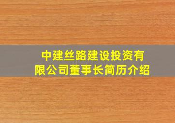 中建丝路建设投资有限公司董事长简历介绍