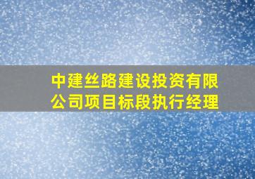 中建丝路建设投资有限公司项目标段执行经理